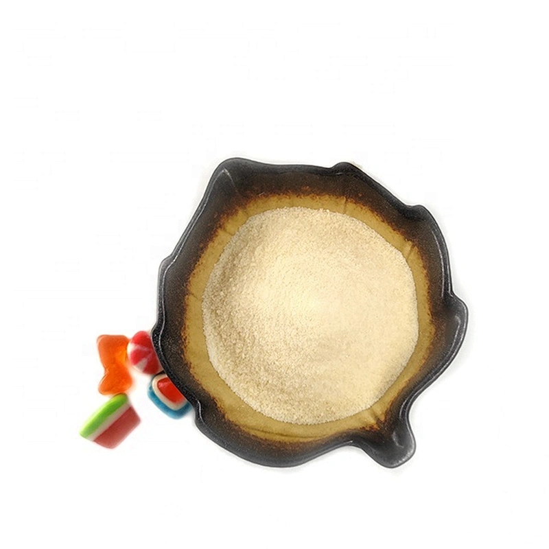 hot sales Chinese manufacturer pure gelatin powder gelatin